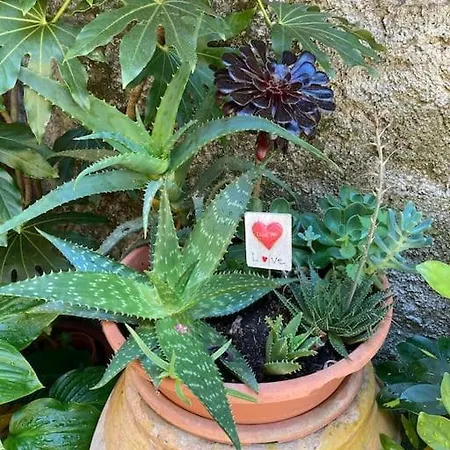 Bilocale Spazioso Con Balconcino Sulle Alture Di Appartamento *
