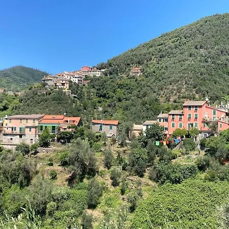 Apartamento Bilocale Spazioso Con Balconcino Sulle Alture Di Levanto